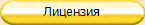 Лицензия